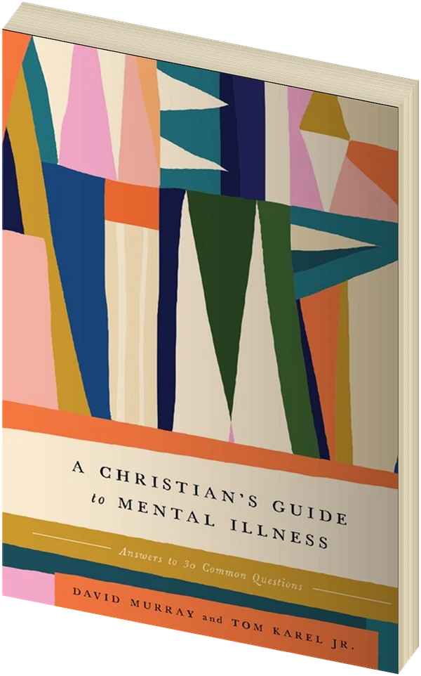 A Christian's Guide to Mental Illness